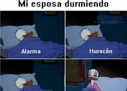 Ha entrenado su oido