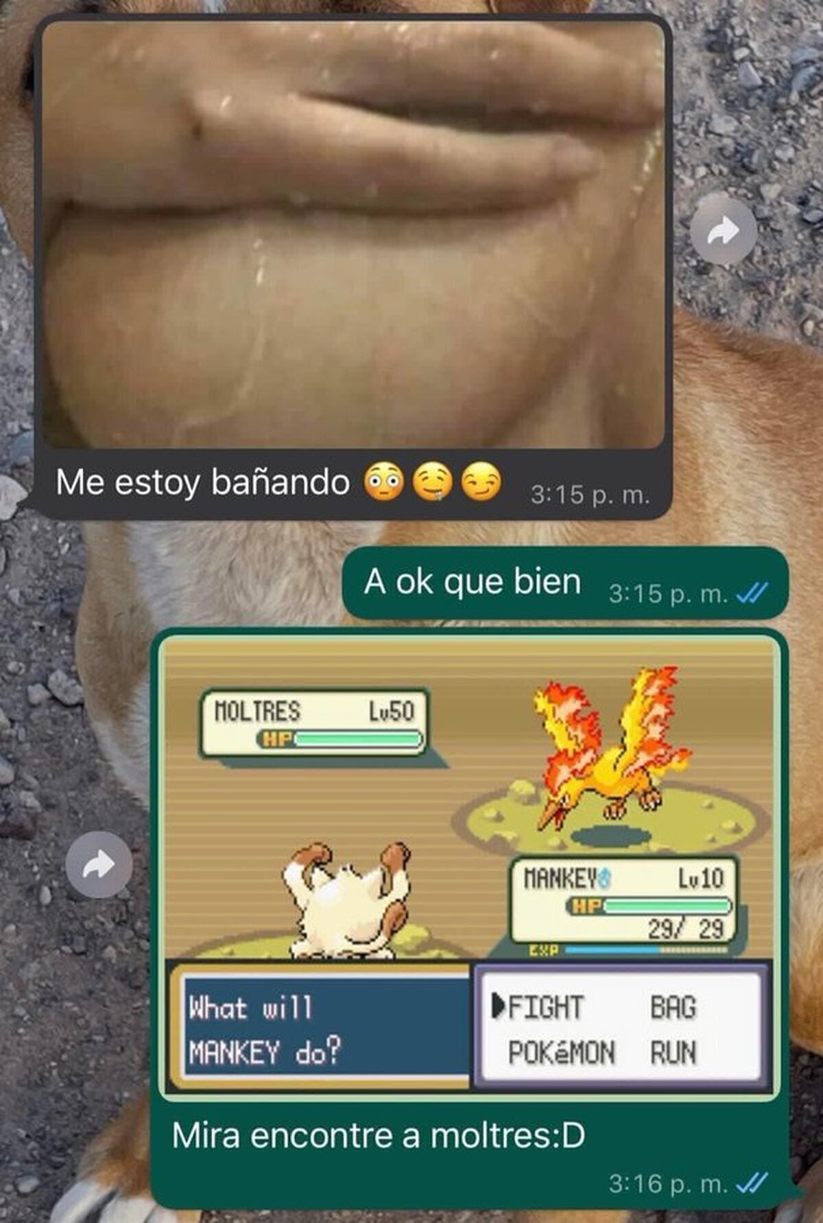 ¿Mujer, sabes lo raro que es ese Pokémon?
