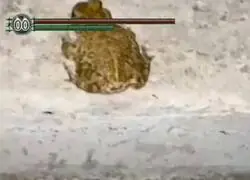 Este ser&iacute;a mi pacto favorito