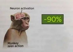 Aunque nunca los vaya a tocar