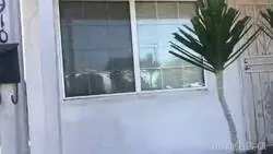 Los actores de voz de Franklin y Lamar recrean su m&iacute;tica escena en la vida real