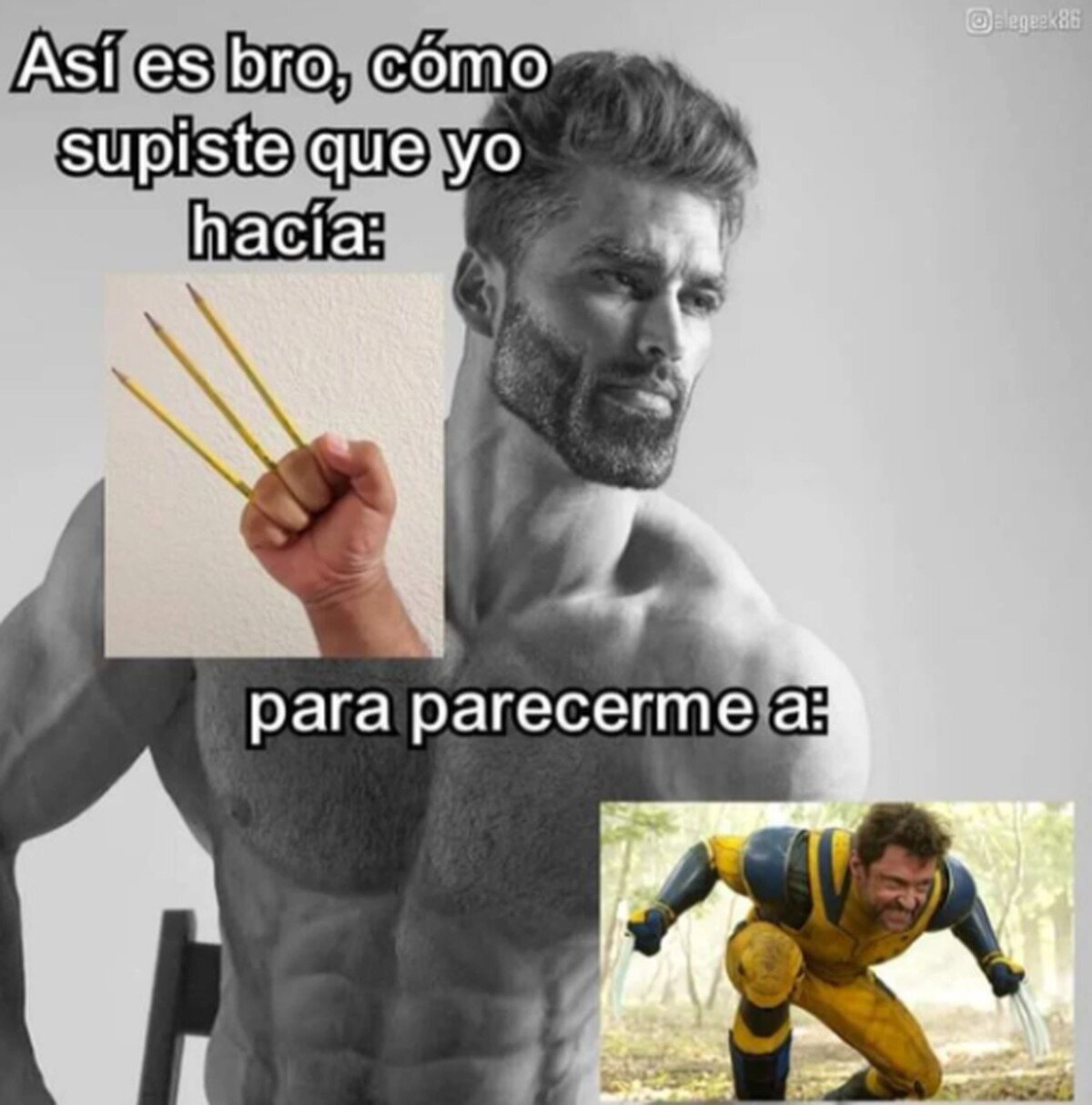 Confirmamos que todos lo hicimos