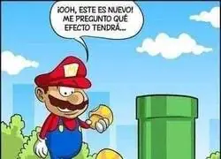 El hongo que lo origin&oacute; todo