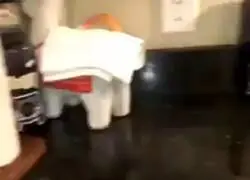 El live action m&aacute;s esperado