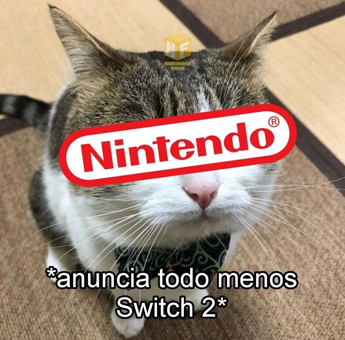 Mi paciencia tiene límites, Nintendo