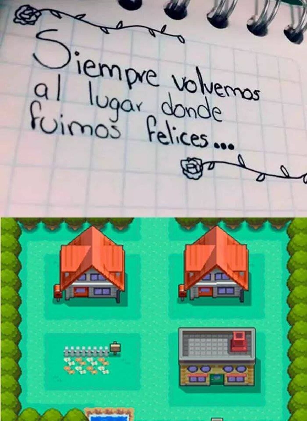 Ojalá nunca hubiera salido de Pueblo Paleta