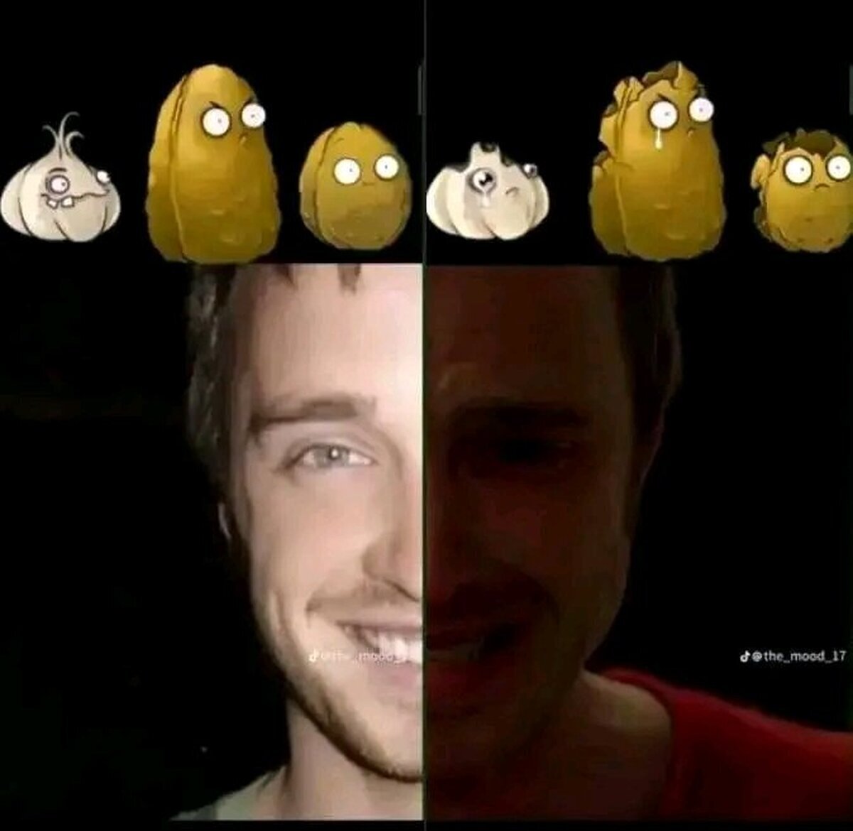 Las semillitas del PVZ