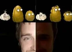 Las semillitas del PVZ