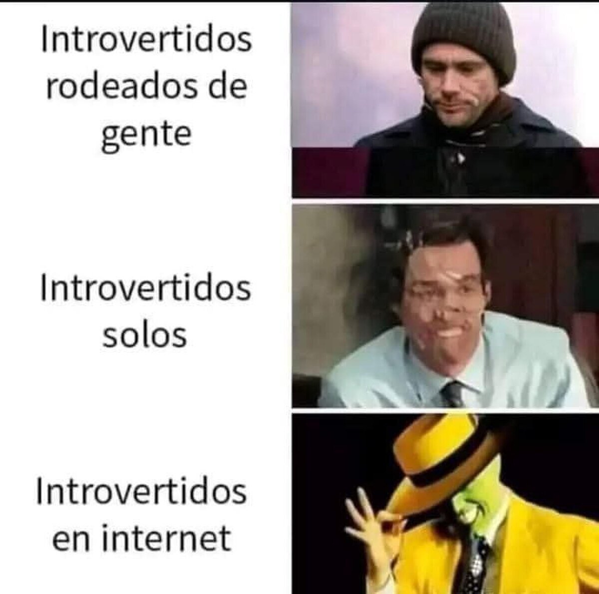 Es regla de los introvertidos