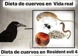 Dato curioso: A los cuervos le gustan coleccionar cosas brillantes