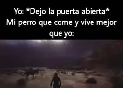 Pero si en esta casa te amamos, Pelusa