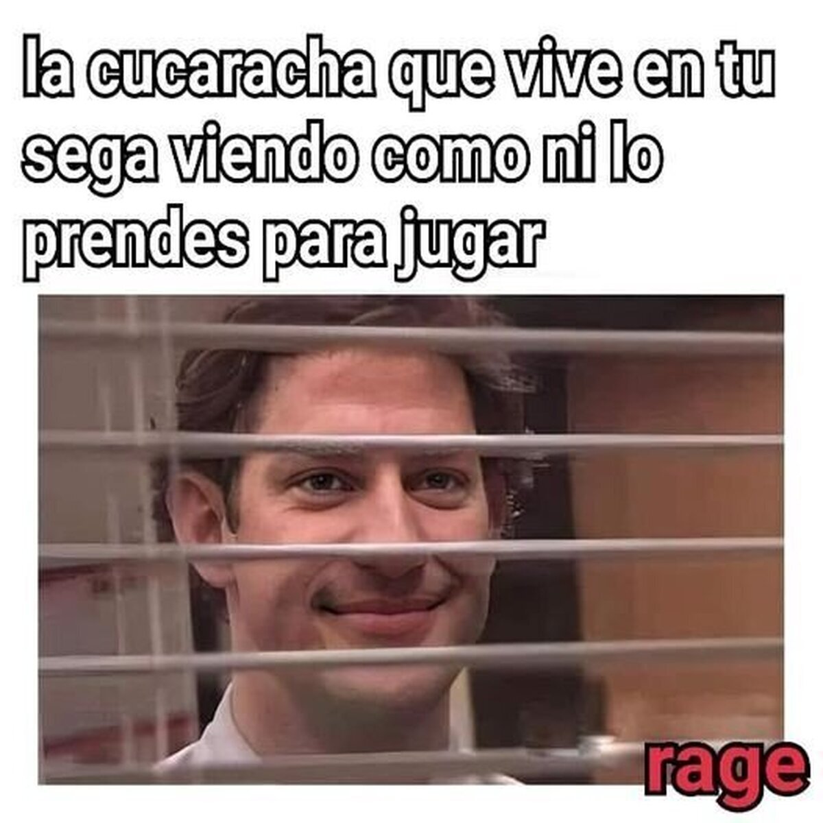 Varios años con la renta gratis