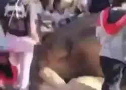 Dise&ntilde;os de jefe aterradores