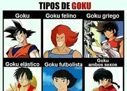 Los distintos goku