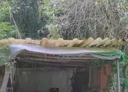 S&oacute;lo lo necesario