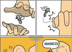 Como detesto estos zancudos