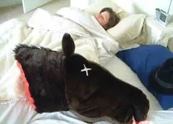 Ese almohad&oacute;n es puro cine