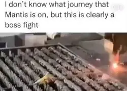 La pelea de jefe de esta mantis