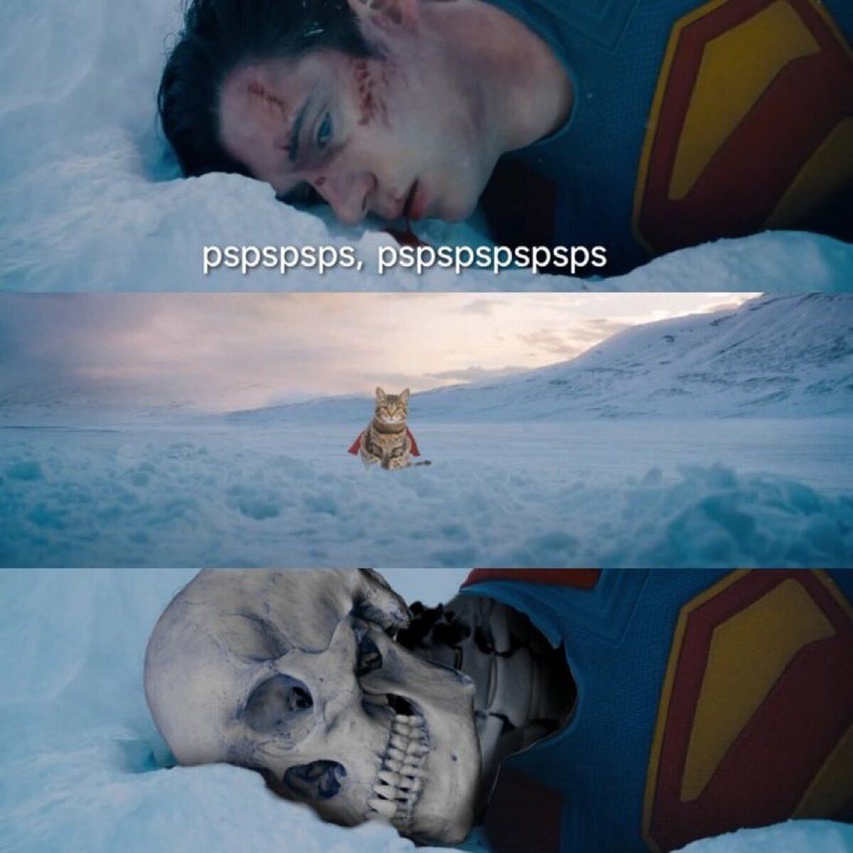 Allí se muere de frio