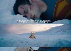 All&iacute; se muere de frio