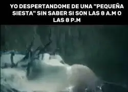 Esas son las mejores siestas