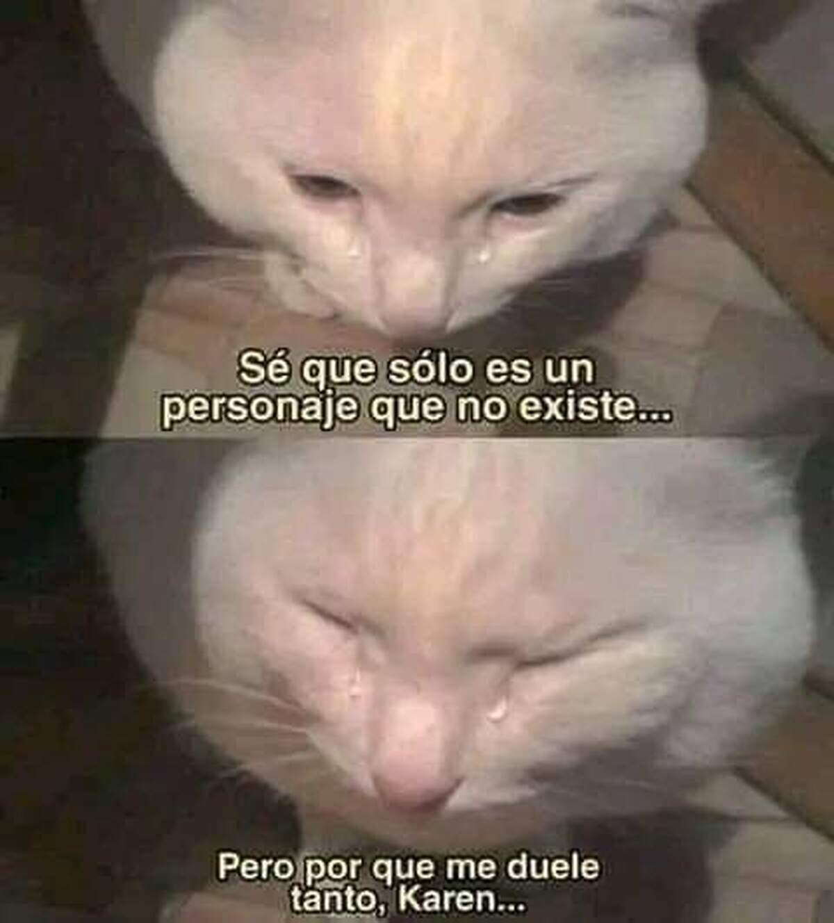 ¿Qué personaje os dejó un trauma así?