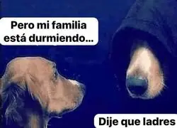 El lado oscuro de mi perro