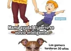 No estamos para defender a nadie