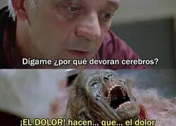 No pens&eacute; sentir tanta empat&iacute;a por un zombie