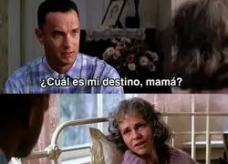 La vida es una caja de chocolates