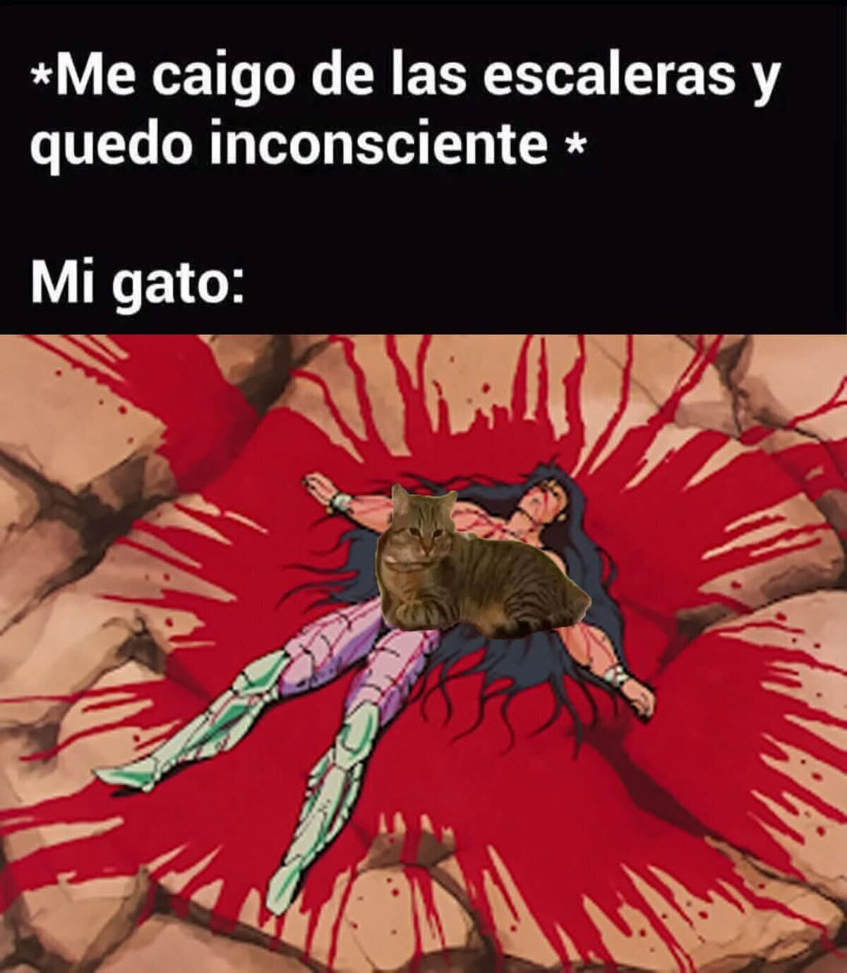 No tengo dudas de que lo haría