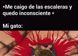 No tengo dudas de que lo har&iacute;a