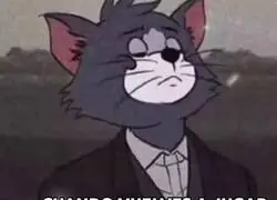 Y esos no suelen volver