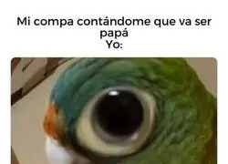 Negocios son negocios