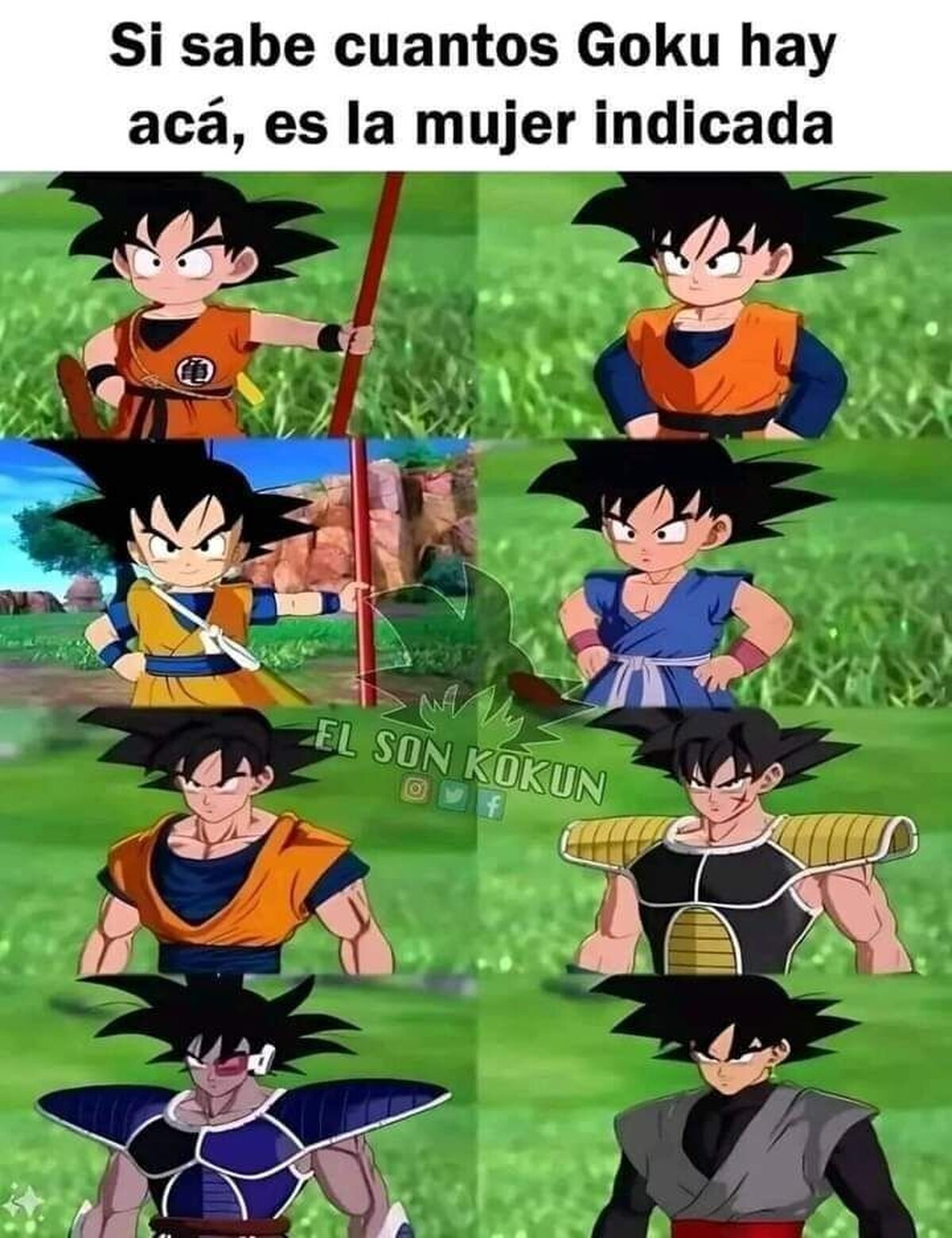 ¿Cuantos Gokus hay aquí?