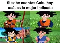 &iquest;Cuantos Gokus hay aqu&iacute;?