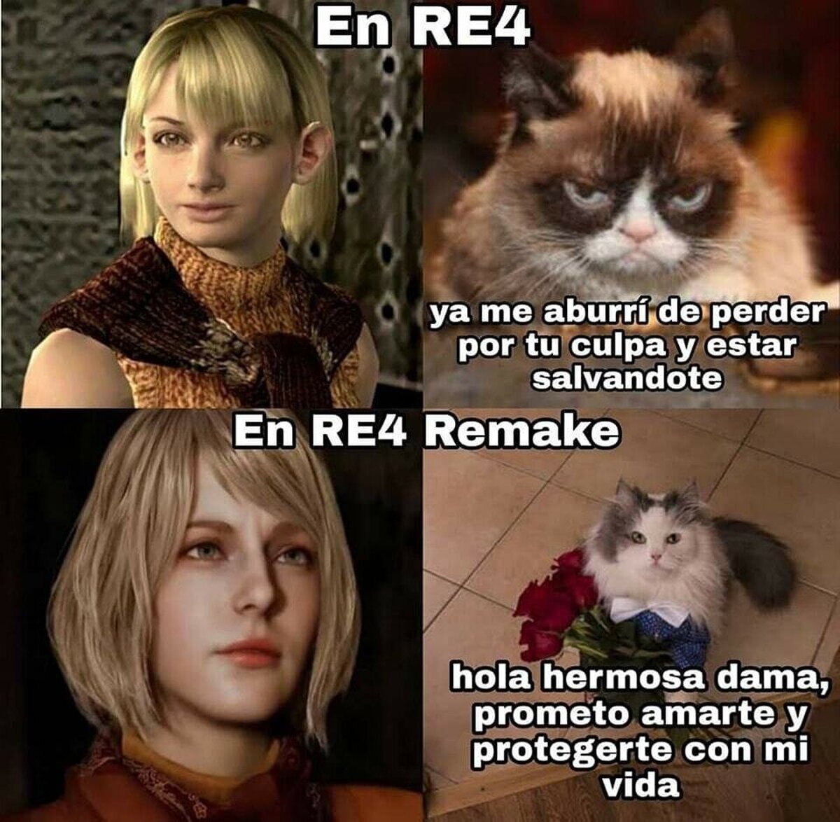 Una Ashley mejorada