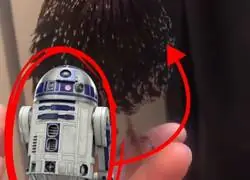 &iquest;Alguien sabe por qu&eacute; este p&aacute;jaro suena como R2?