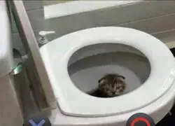 Algunas decisiones en videojuego son muy dif&iacute;ciles