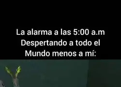 Extra&ntilde;o fen&oacute;meno de las alarmas
