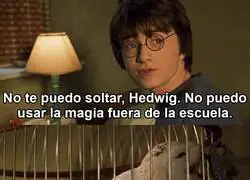 Mejor d&iacute; que no quieres, Harry