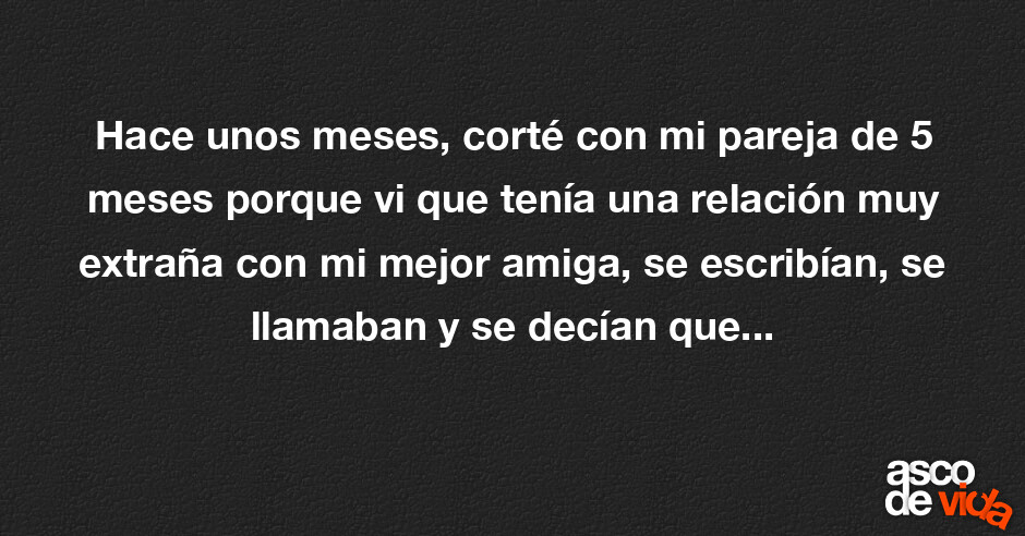 Asco De Vida Hace Unos Meses Corté Con Mi Pareja De 5 Meses Porque Vi Que Tenía Una Relación 