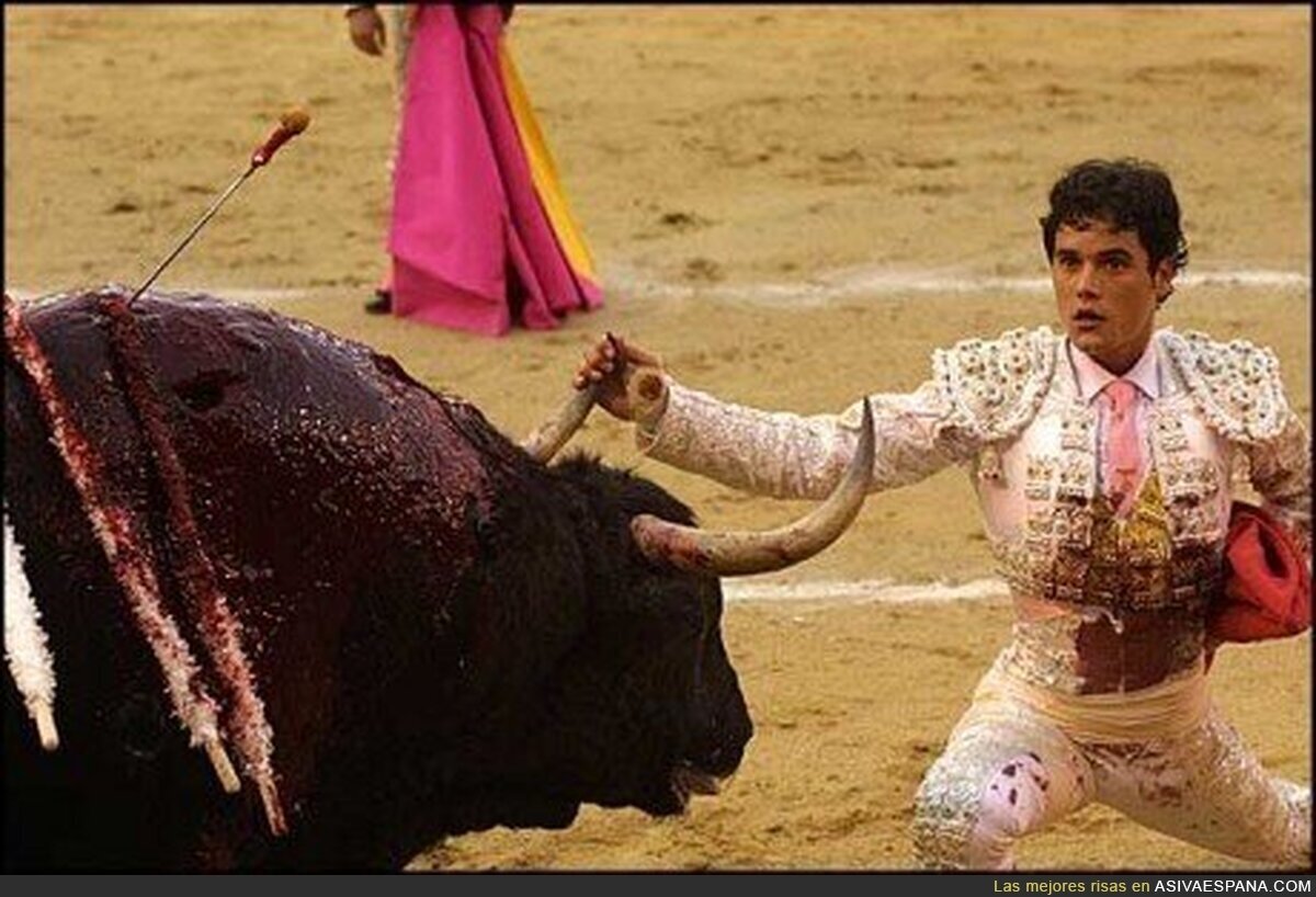 ESPAÑA - Puedes matar a un toro, pero no descargarte peliculas online.
