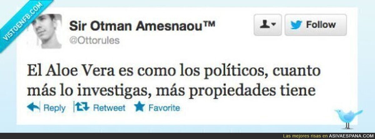 Aloe Vera y los políticos por @ottorules