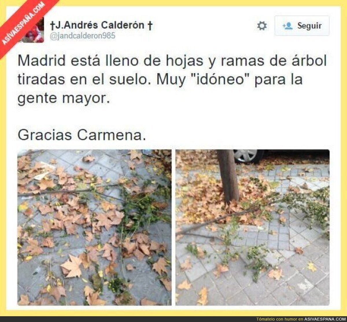 Manuela Carmena formando un caos permitiendo que sea otoño en Madrid