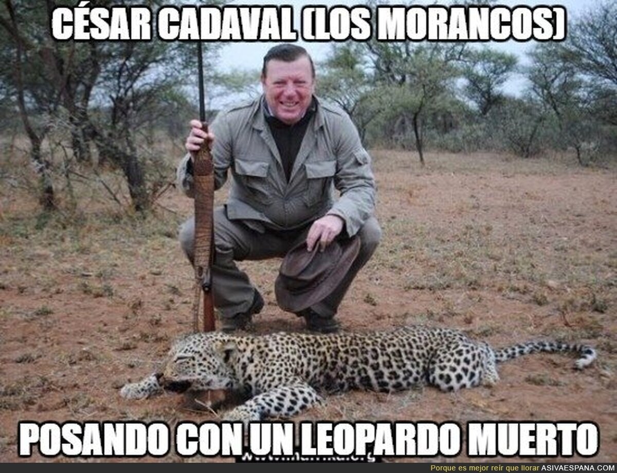 Asqueroso y miserable lo de César Cadaval (Los Morancos) cazando guepardos en Bostwana y sonriendo
