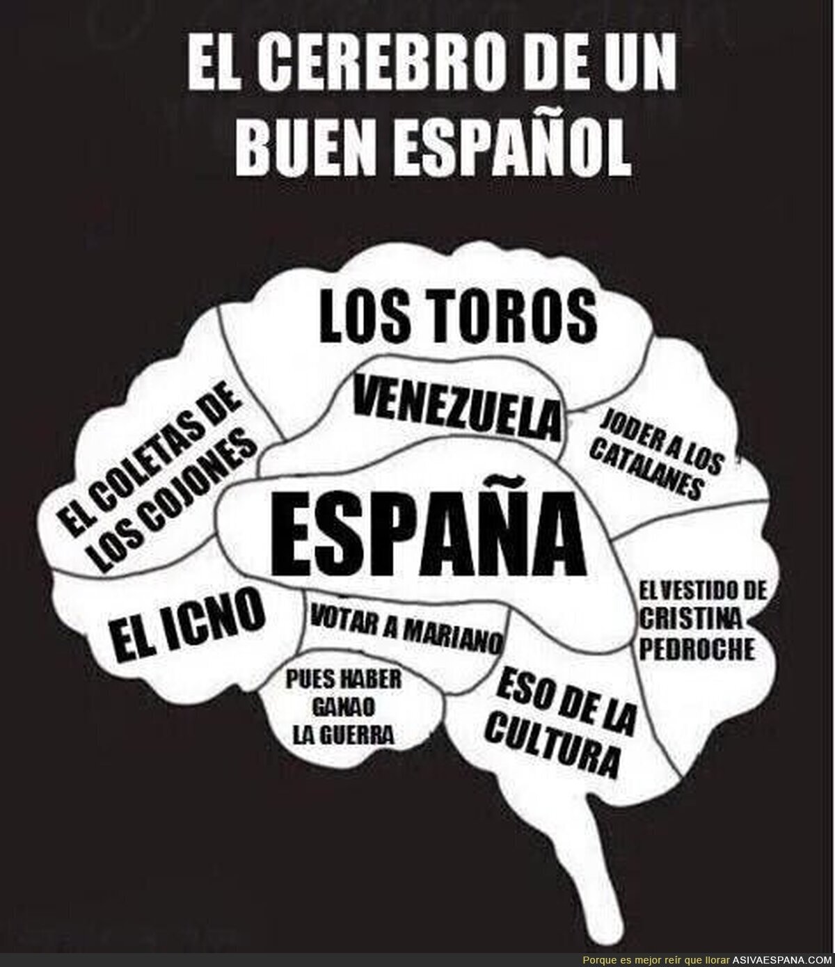 Representación gráfica del cerebro de un buen español