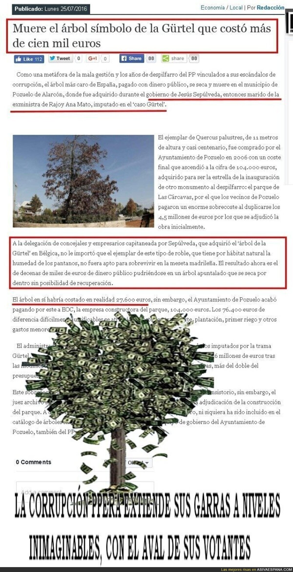 Muere el árbol símbolo de la Gürtel que costó más de cien mil euros