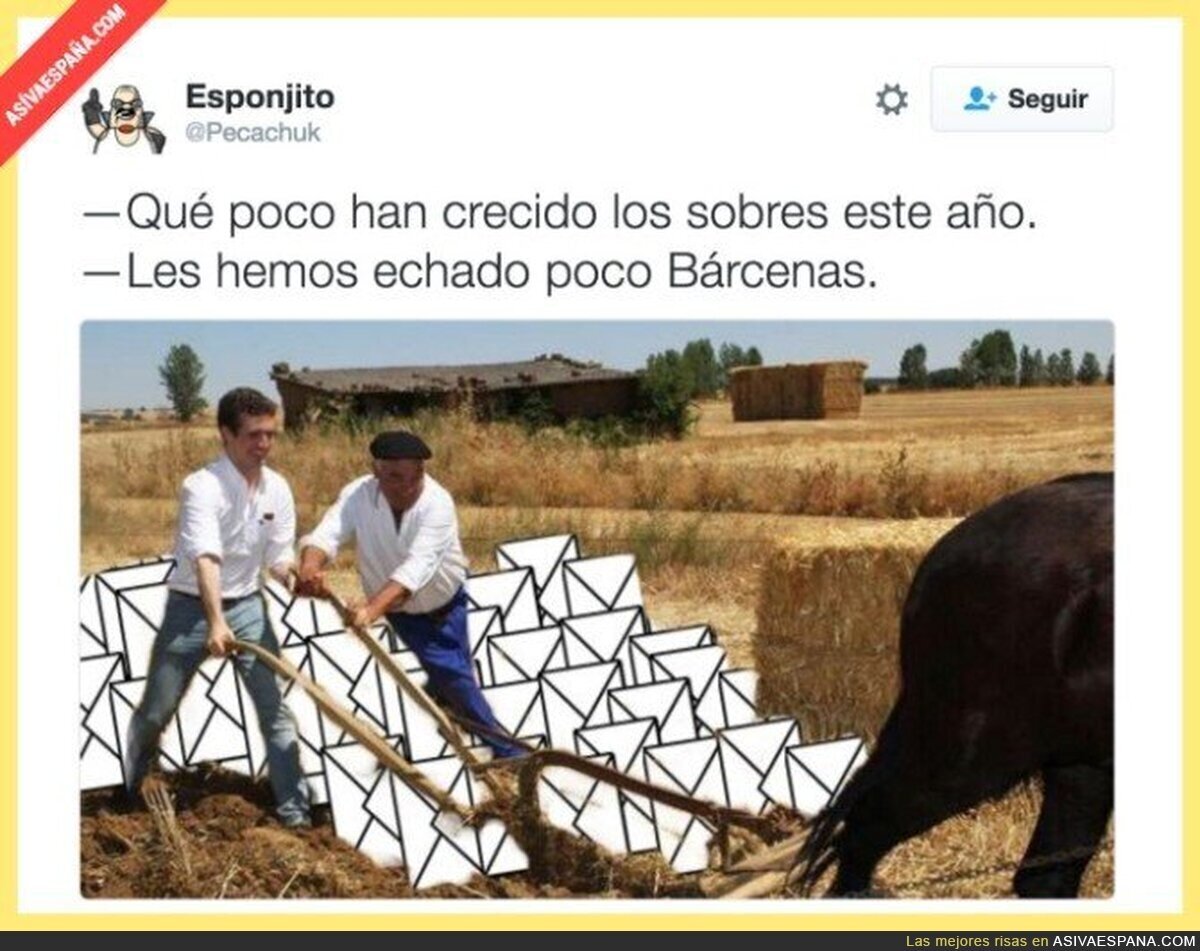 Pablo Casado recogiendo en el campo lo sembrado