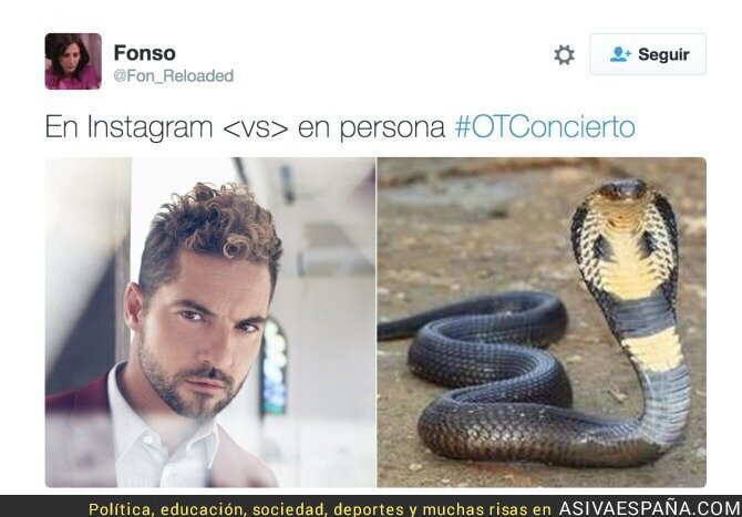 56459 - Los mejores memes de la cobra de Bisbal a Chenoa, ¡lo ha comentado hasta Errejón!